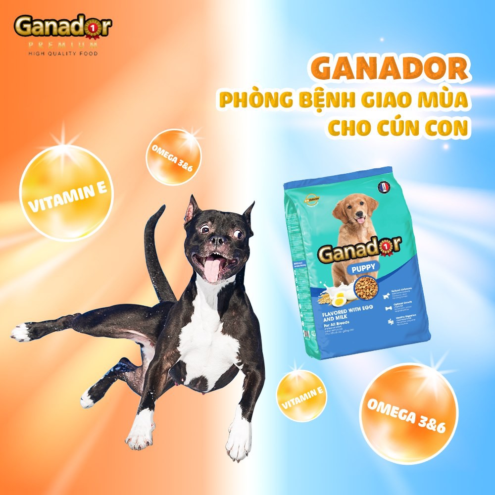 [3kg] Thức Ăn Hạt Cho Chó Ganador Nhiều Vị (Chó Con & Chó Lớn)