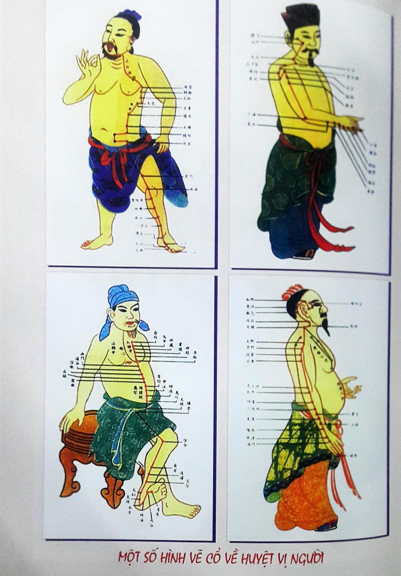 Đồ giải huyệt vị cơ thể
