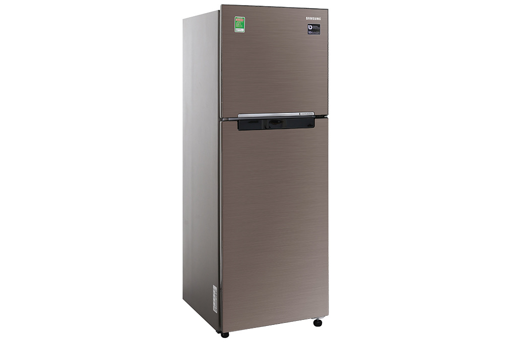 Tủ lạnh Samsung RT22M4040DX/SV Inverter
