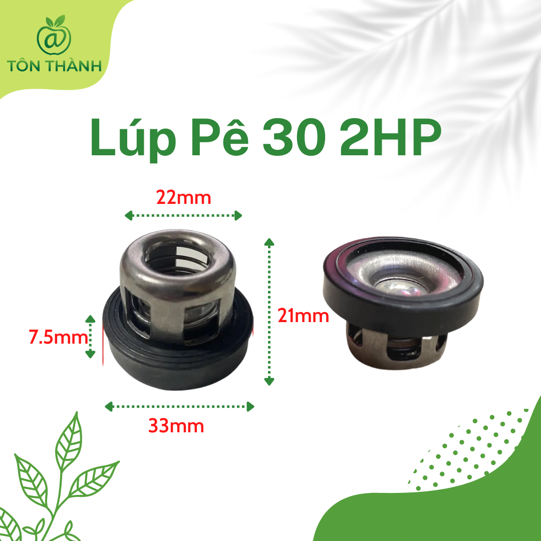 LÚP PÊ ( LUPPE ) VAN 1 CHIỀU ĐẦU XỊT RỬA XE 0.5HP 1HP 2HP SET 6 CÁI