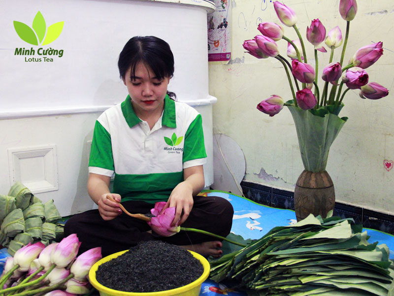 Trà bông sen Tây Hồ cao cấp
