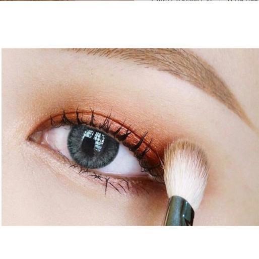 Contact Lens Gray Color + Case
