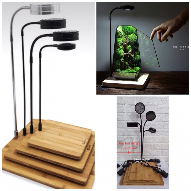 Đèn LED đế gỗ Terrarium để bàn cực đẹp