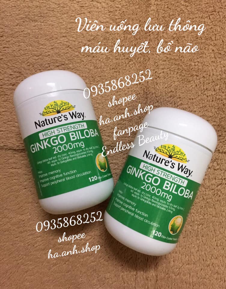 NATURE’S WAY GINKGO BILOBA 2000 120 VIÊN