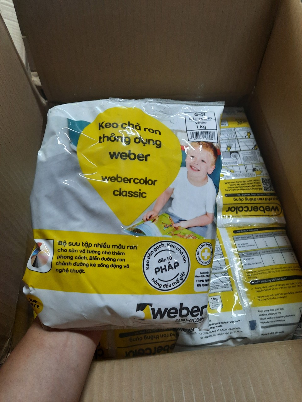 Weber Color Classic scrub glue. Weber mantle-French tech-1kg bag
