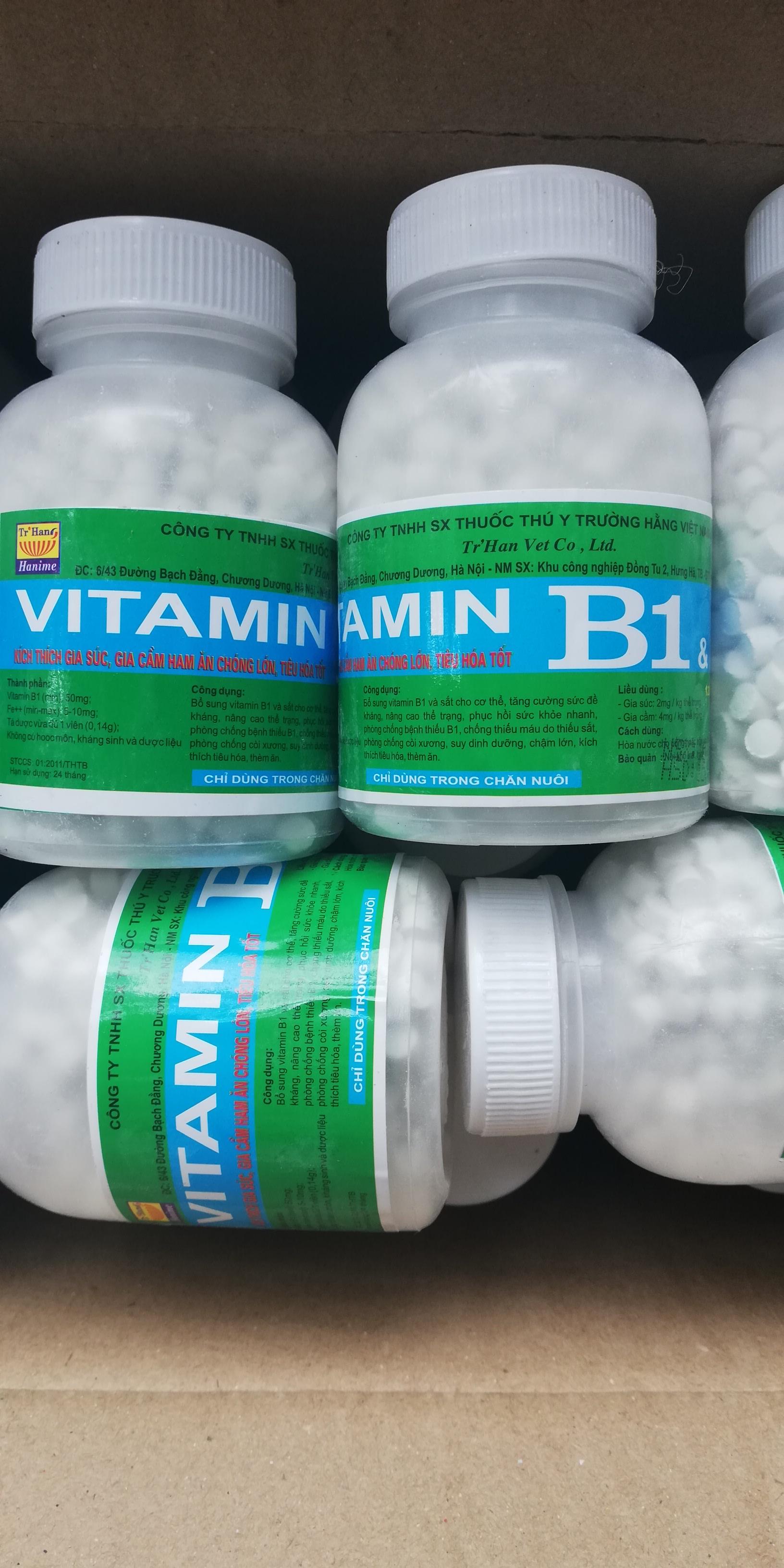 2 lọ VITAMIN B1 200g KÍCH THÍCH GIA SÚC, GIA CẦM, CHÓ MÈO HAM ĂN CHÓNG LỚN, TIÊU HÓA TỐT. Có thể dùng bón cho hoa