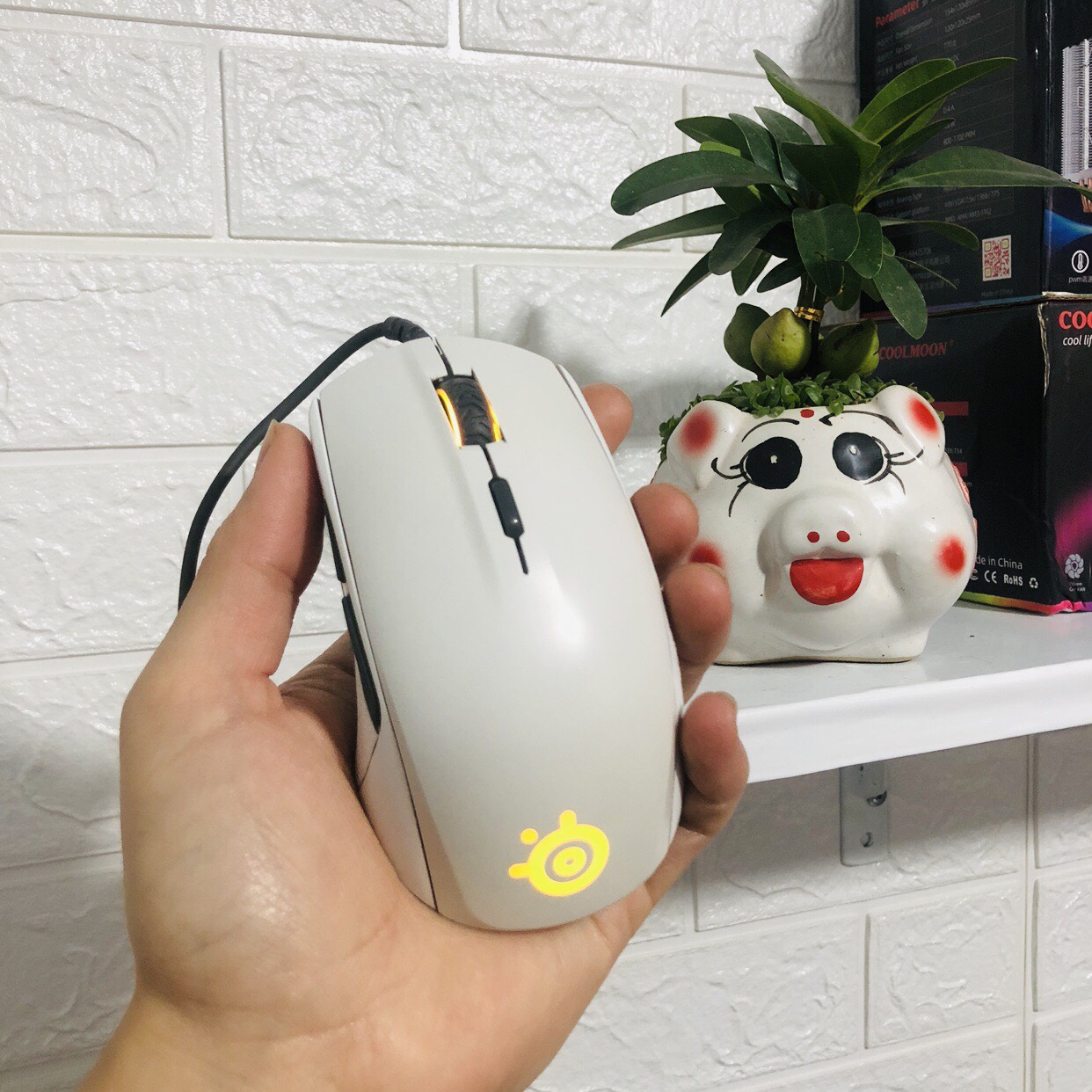 Chuột SteelSeries Rival 110 Arctis White - 2nd - Đã Qua Sử Dụng