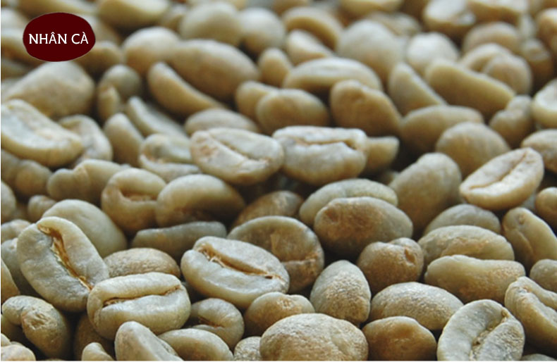 Cà Phê MOKA Rang Mộc NGUYÊN CHẤT