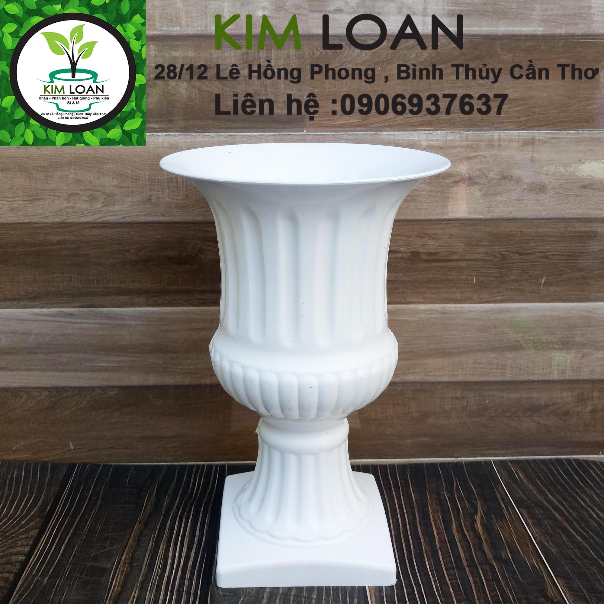 Chậu nhựa ly cúp đế vuông 20x30cm