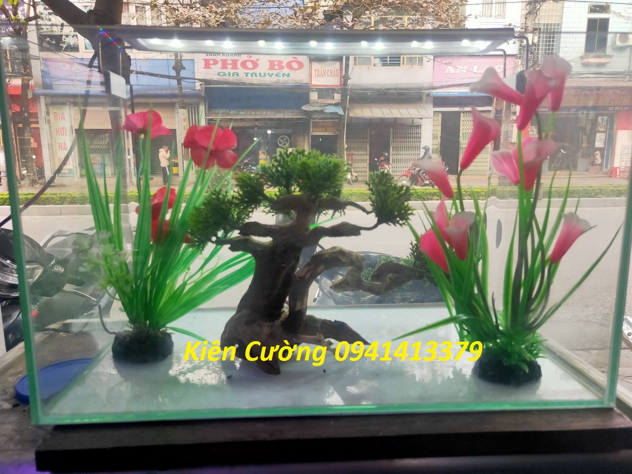 Cây gỗ lũa thủy sinh dùng cho bể cá cảnh, gỗ lúa cao cấp (Mẫu 10)