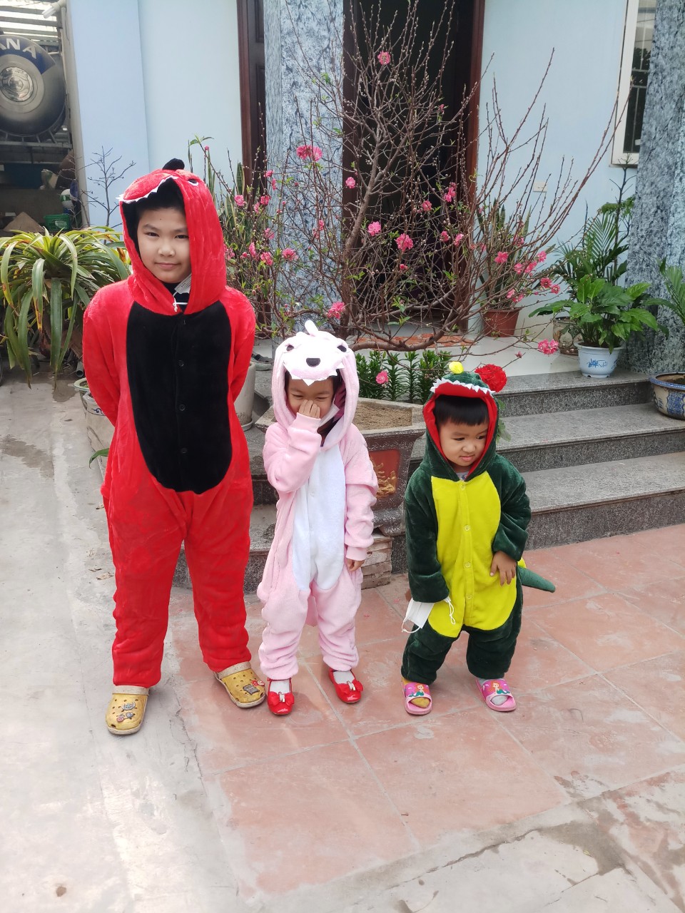 Bộ quần áo khủng long đỏ đủ size cho cả nhà