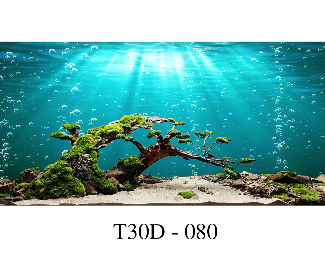Tranh 3D bể Cá T30D 080 Fuil Kích THước