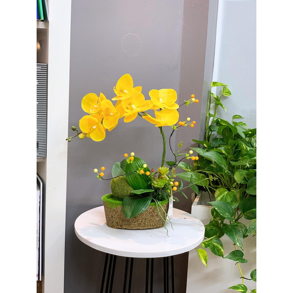 Hoa giả hoa lan hồ điệp cao su