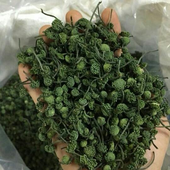 500g nụ tam thất