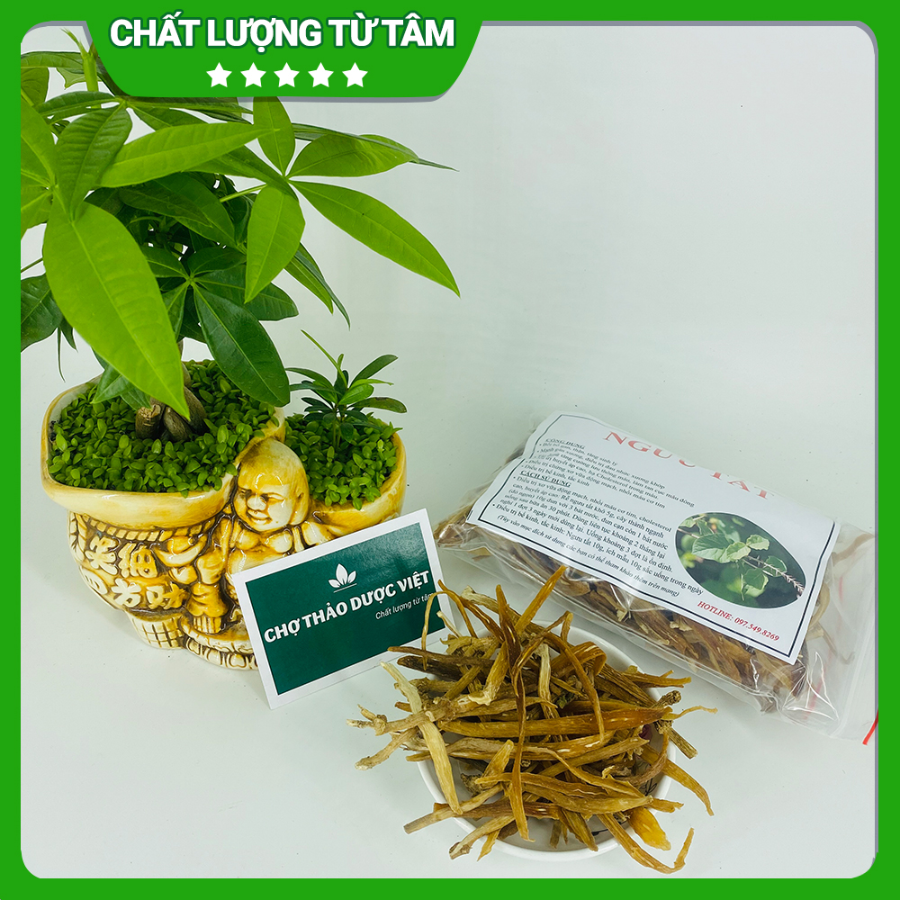 Ngưu tất bắc khô 1kg, rễ cỏ xước, thái lát, thơm, sạch, hỗ trợ giảm đau nhức xương khớp