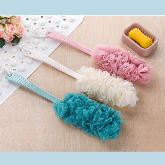 Cây cọ lưng - Cây bông tắm có cán