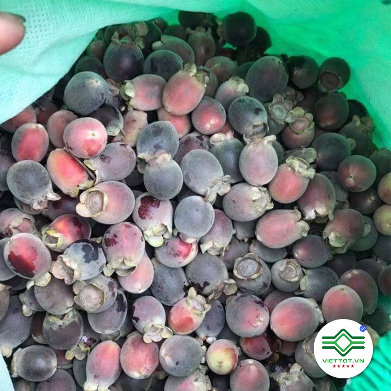 Qủa sim rừng khô (gói 1kg) -EG040