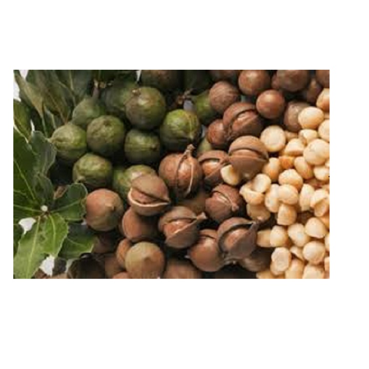 500g hạt macca