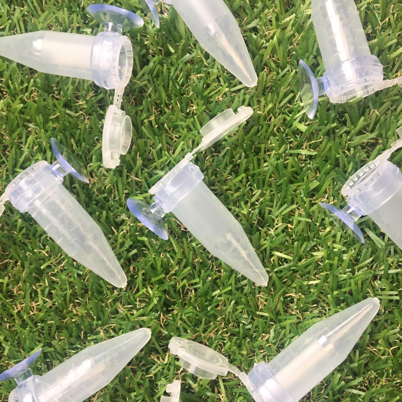 Ống Artemia Nhỏ Giọt