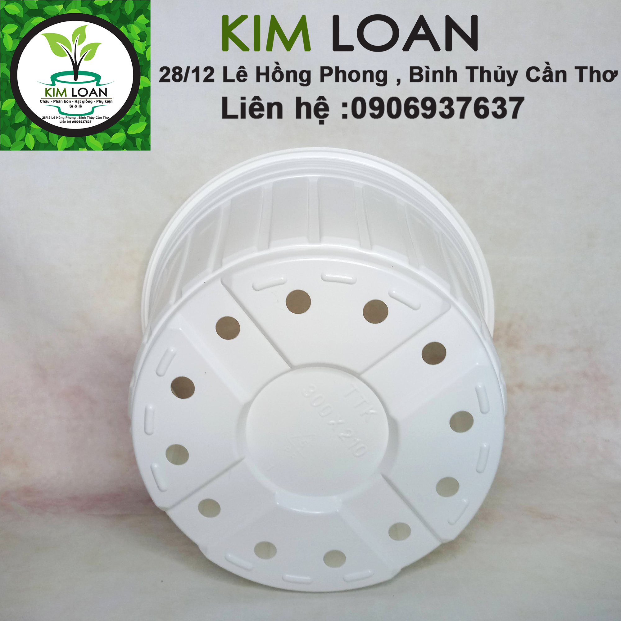 Combo 20 chậu nhựa vành cứng TTK C8 28x21cm