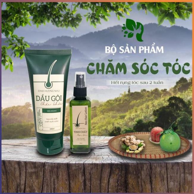Combo Mọc tóc Đinh Hương Nhu - Xịt Tóc - Dầu gội
