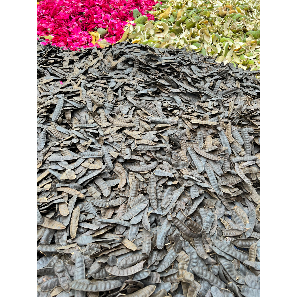 DẦU GỘI BỒ KẾT (300ML)