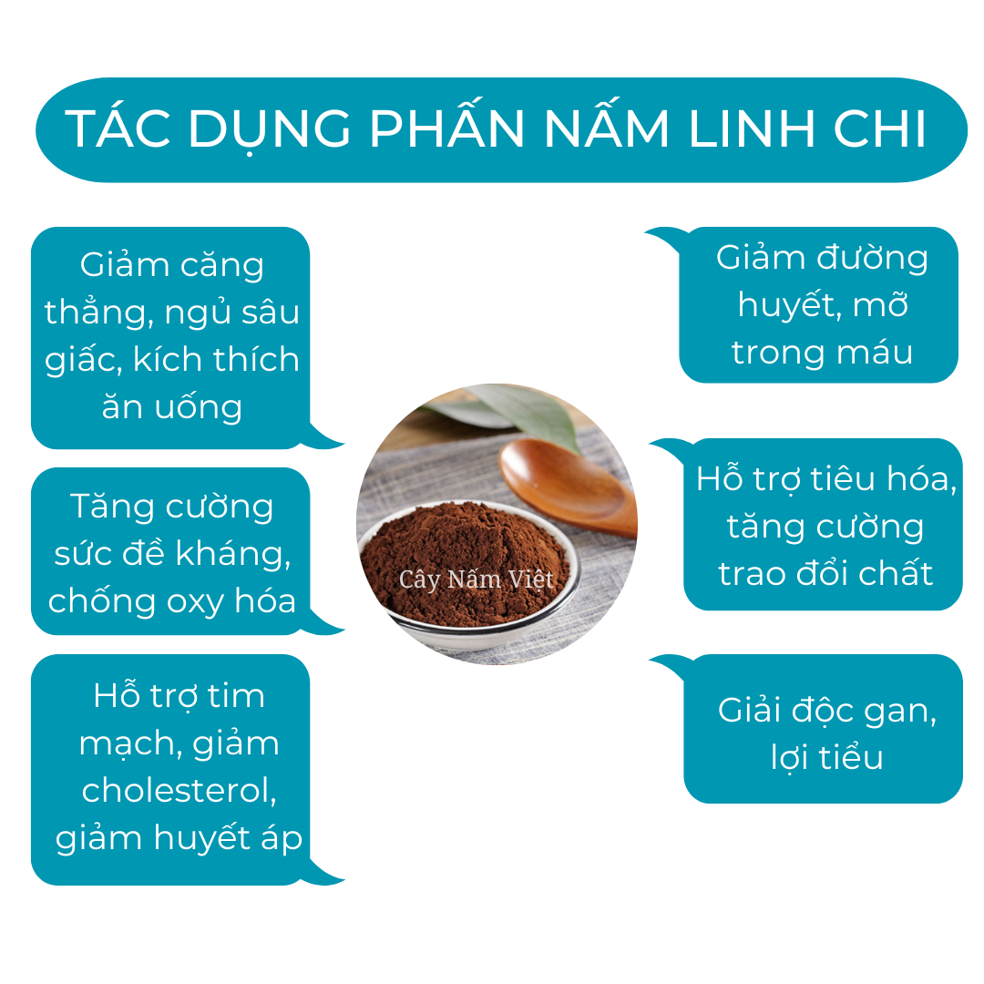 Bào tử nấm linh chi đỏ 100g CNV