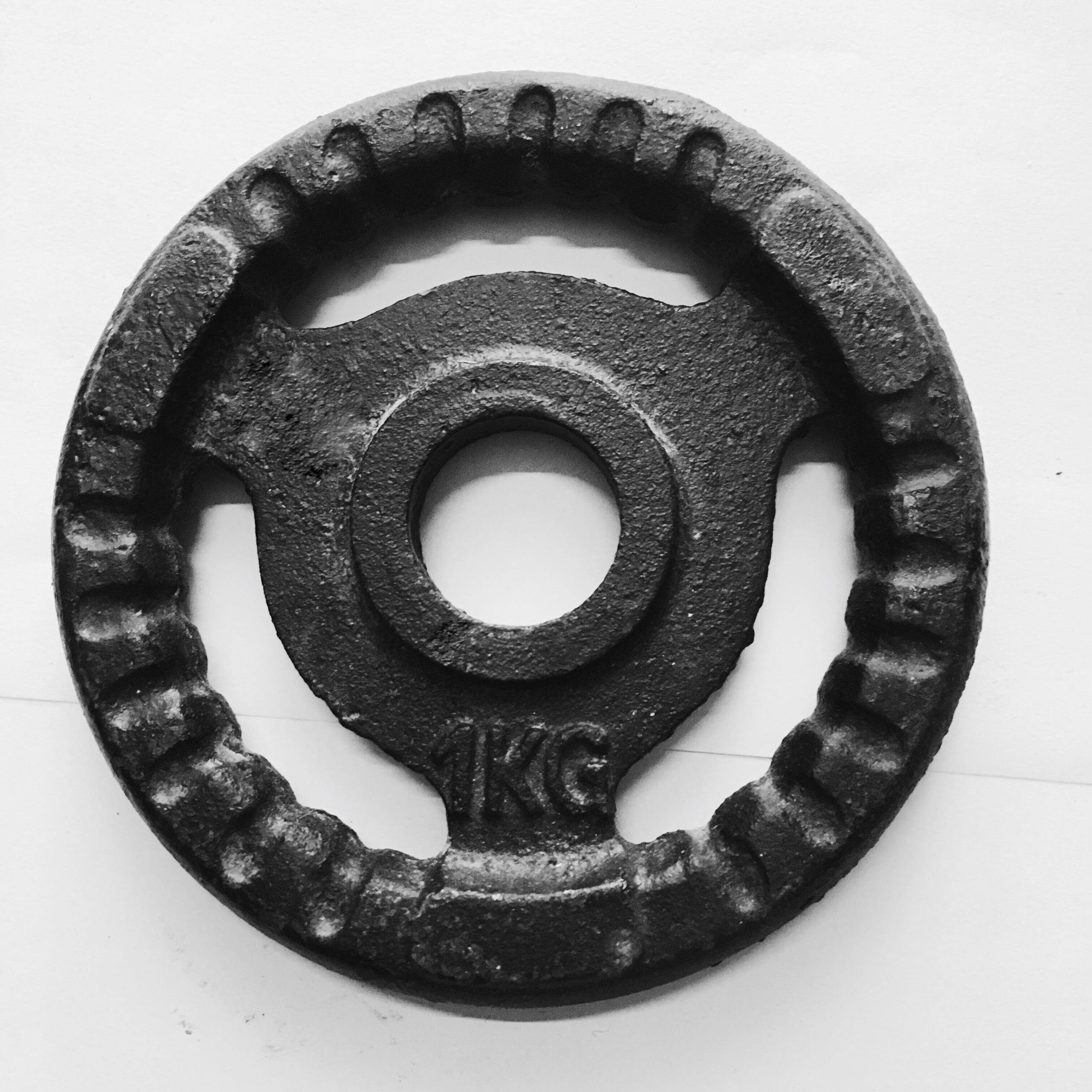 Bộ 4 Miếng Tạ Gang 1kg Phi 27