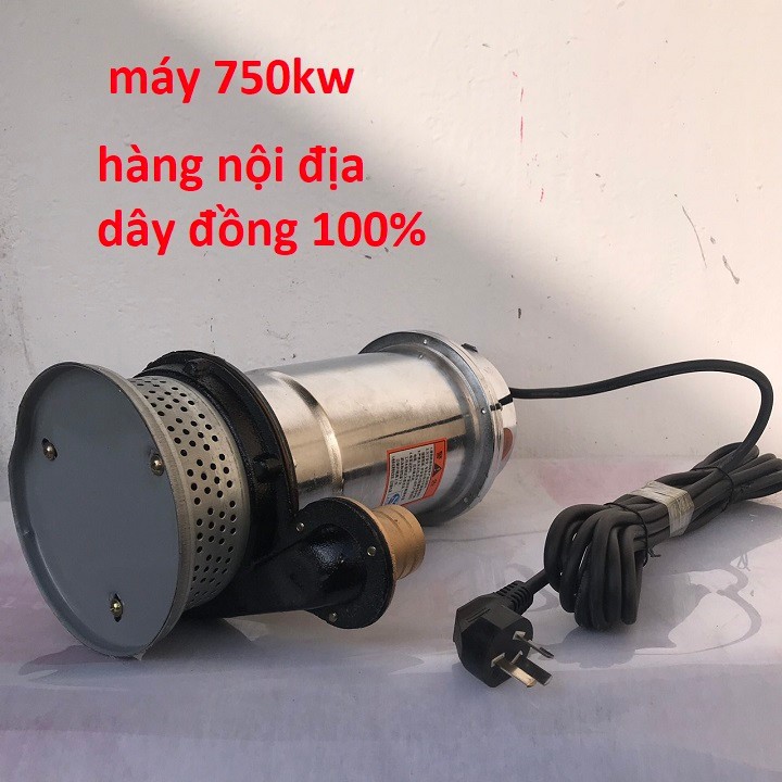 Máy bơm nước chìm, Máy bơm tõm 750W