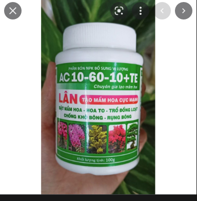 Phân Bón Siêu Lân 10-60-10+TE Tạo Mầm Hoa (Hủ 100gr)
