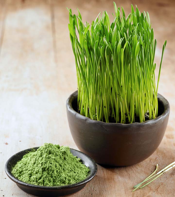 Date 08.2023 - Bột cỏ lúa mì hữu cơ Just Jaivik Wheatgrass Powder