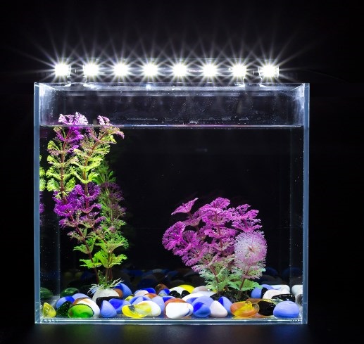 Caicbao pop 30cm-60cm white LED