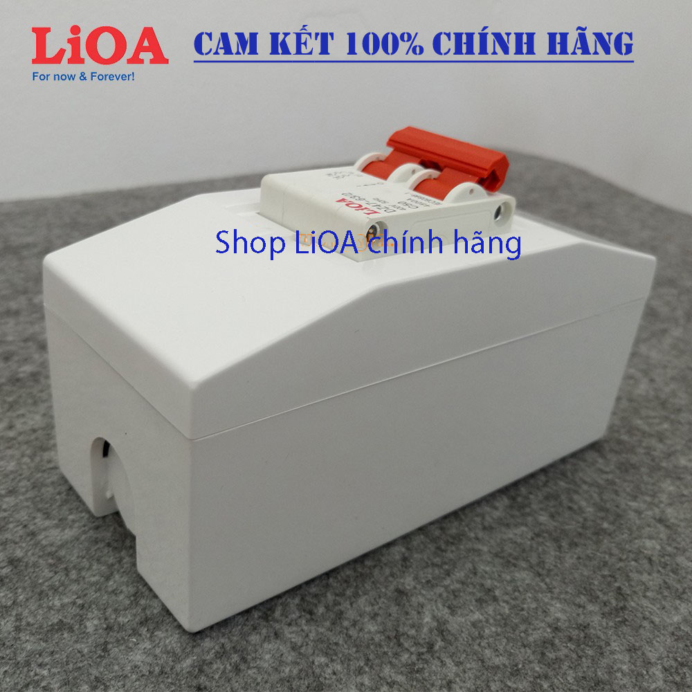Combo cầu dao tự động (APTOMAT) LiOA  loại 2 cực - Lắp nổi