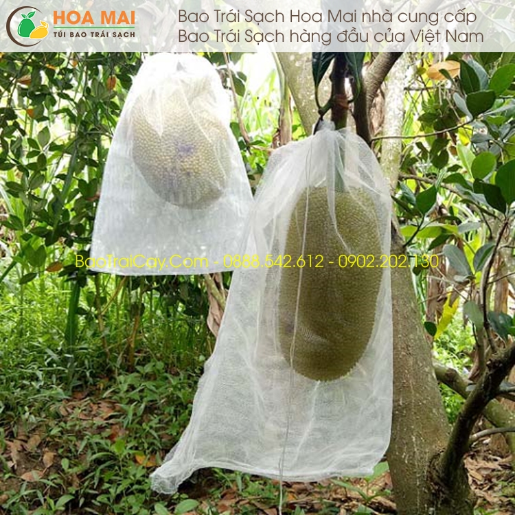 Bao mít 50x70cm vải mùng 100 cái