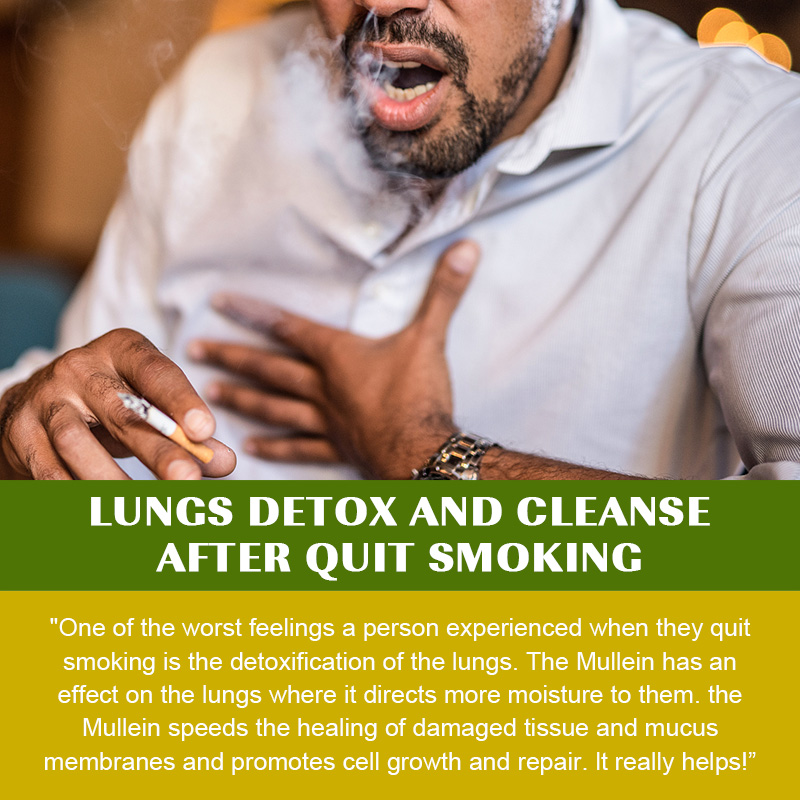 Alliwise Lung Detox Mullein Leaf Capsules bổ sung hô hấp thảo dược để làm sạch phổi, hỗ trợ phổi, cải thiện hô hấp và chức năng miễn dịch