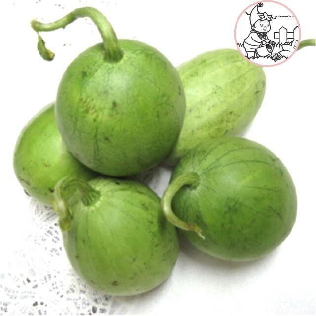 HẠT DƯA HẤU NỤ, DƯA CANH - GÓI 5 GRAM