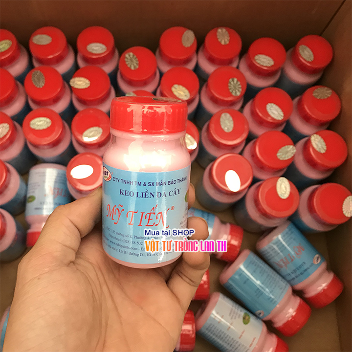 Keo liền sẹo da cây Mỹ Tiến - lọ 100g
