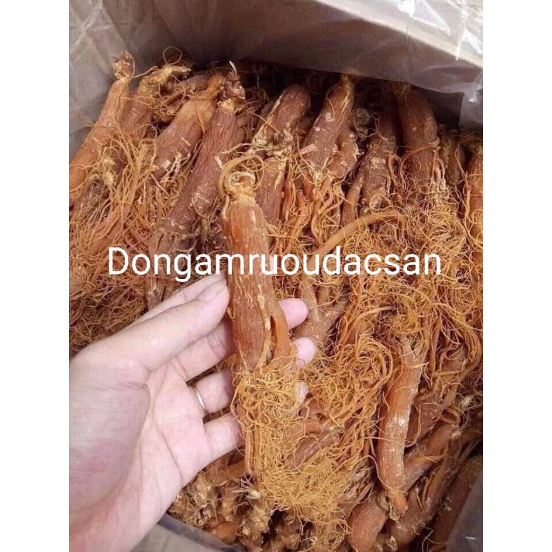 Korean Red Ginseng 100g
