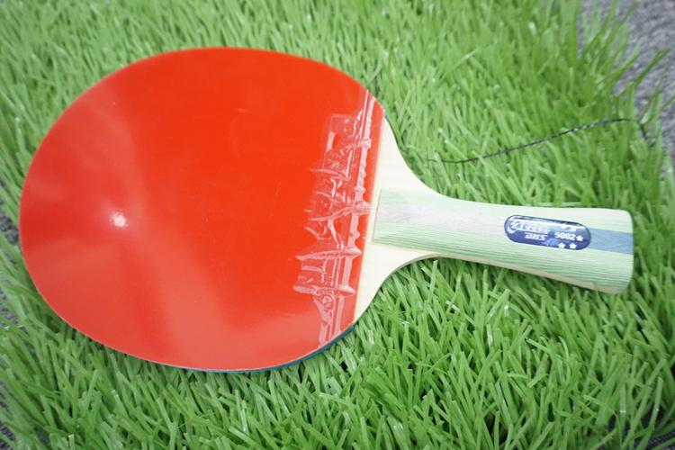 Vợt bóng bàn DHS 5002