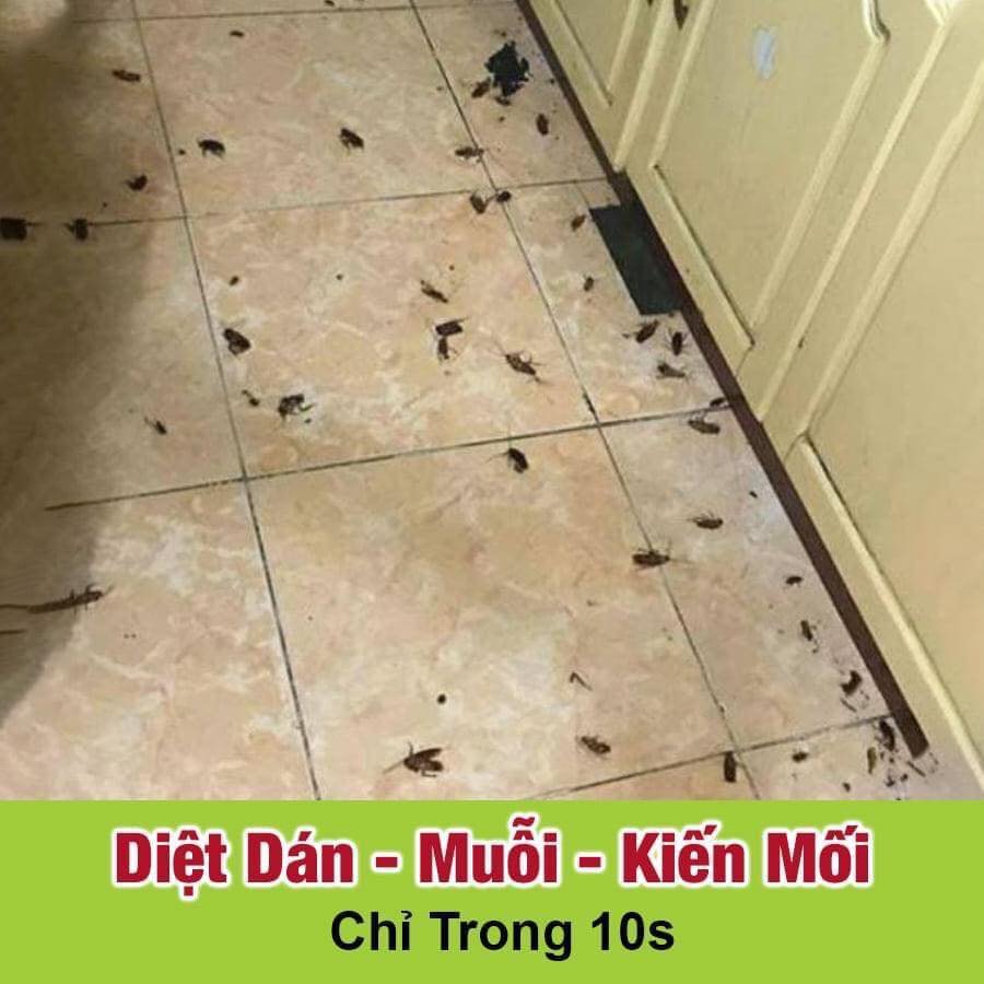 Bình xịt diệt Kiến, Gián, Muỗi Thảo mộc 10s
