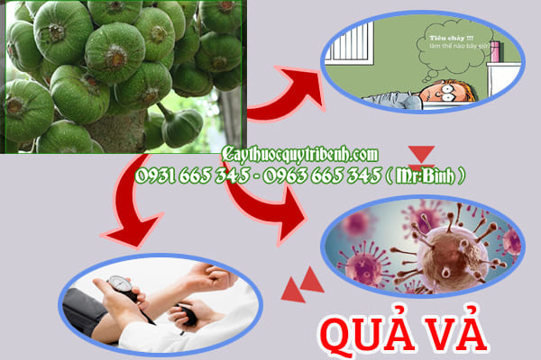 Quả Vả T.ươi 1KG Chất Lượng - Thanh Bình