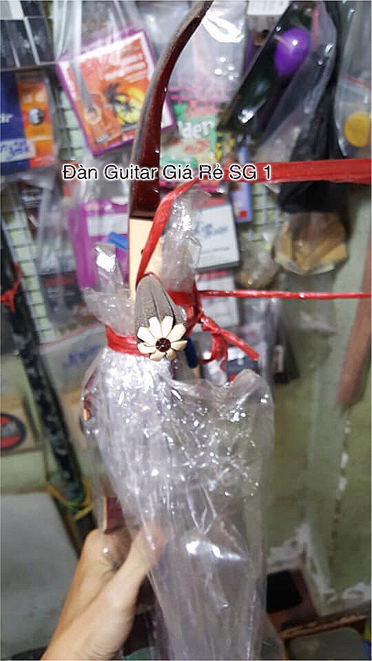 [HCM]Đàn Nguyệt - Đàn Kìm