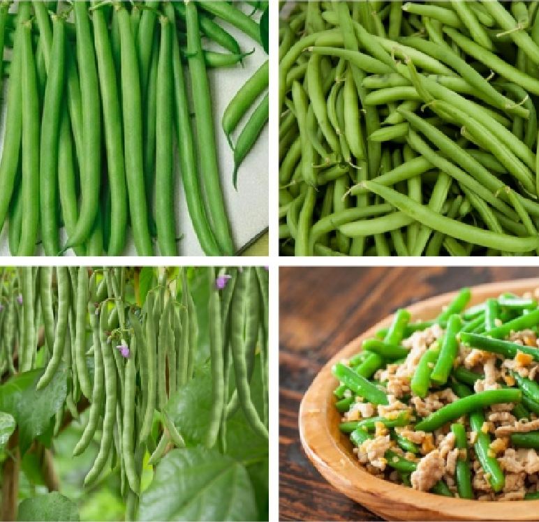 Hạt giống Đậu Cove leo dàn dễ trồng (Gói 20gram)