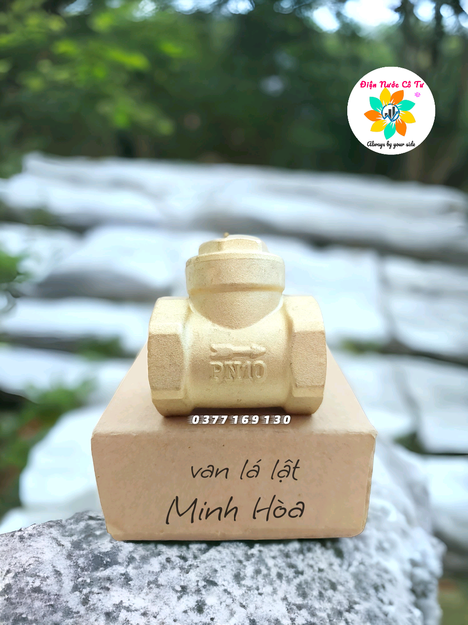Van 1 chiều đồng lá lật dn15 dn20 dn25 minh hòa