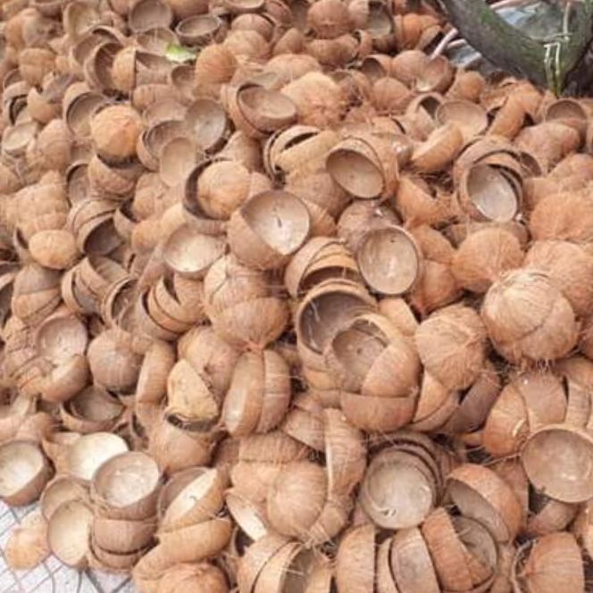 Gáo dừa 4 cái