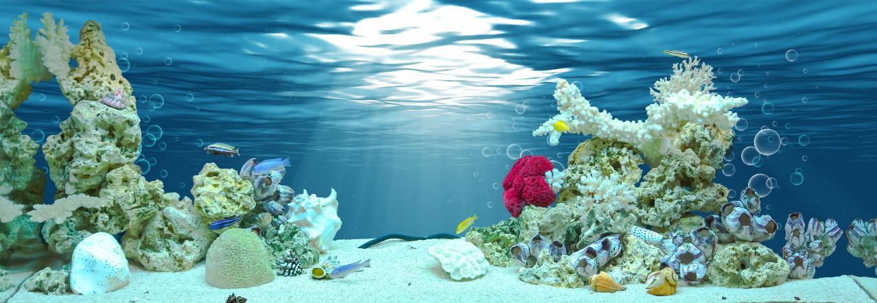 Tranh phông nền VTC dán hồ cá, bể thủy sinh Aqua-040 KT 150 x 60 cm