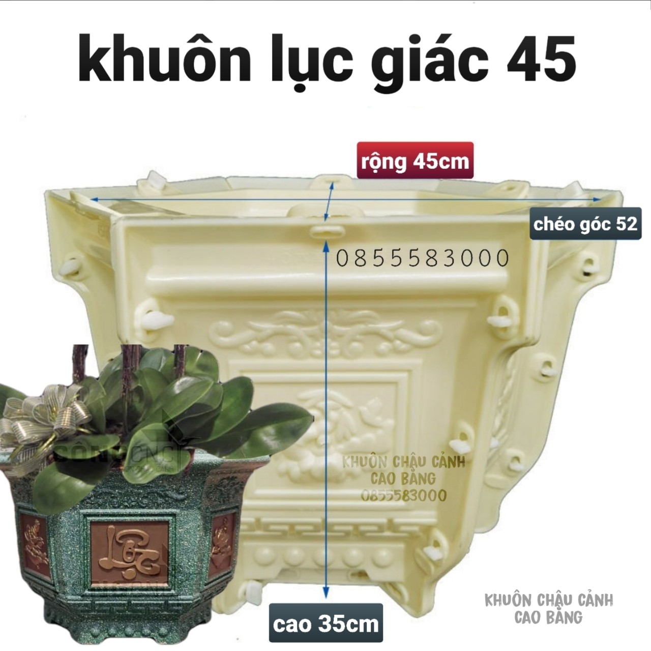 khuôn đúc chậu cảnh lục giác 45 và chân đôn ( khuôn nhựa ABS có lòng trong)