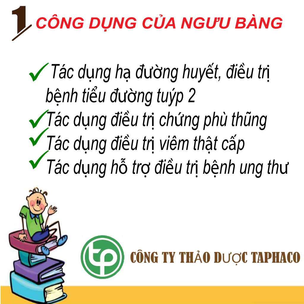[Hàng mới về] Ngưu bàng khô 100g cao cấp - tấn phát