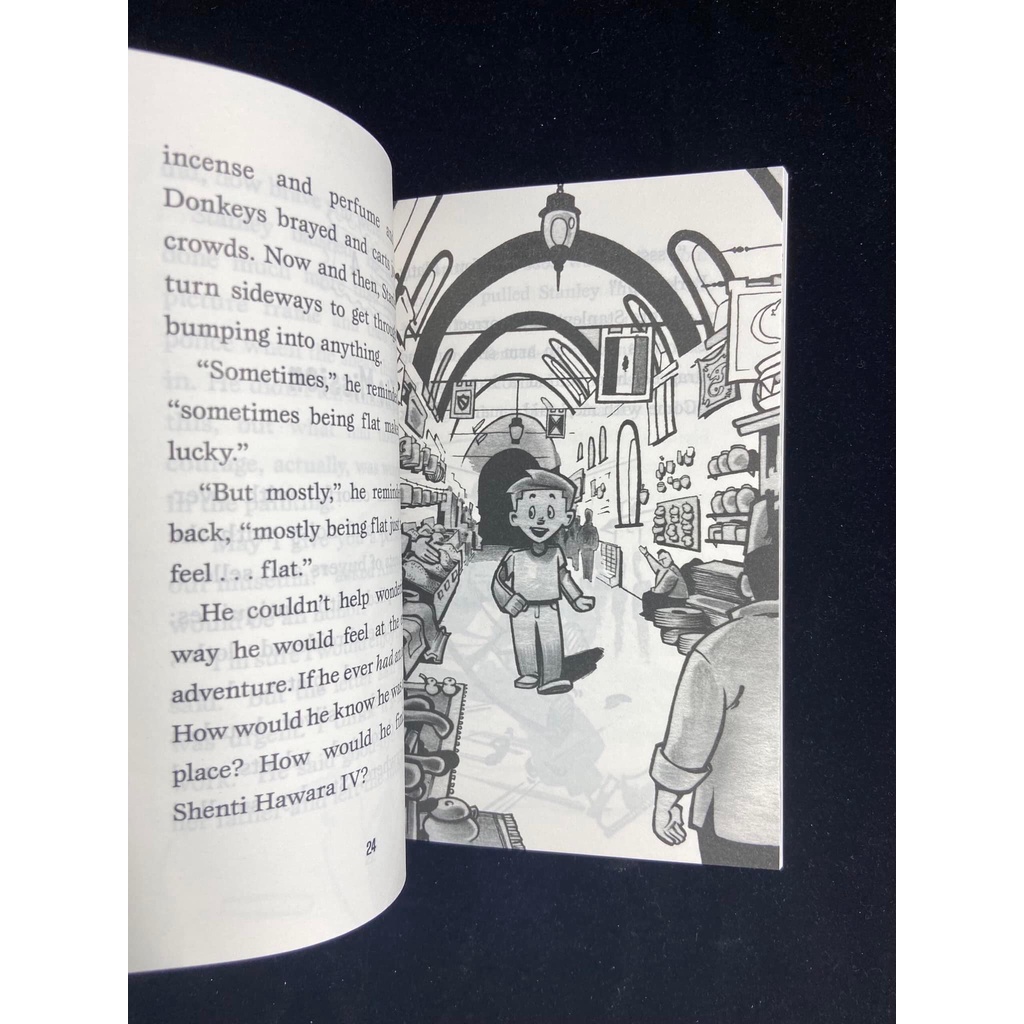 Bản nhập 19q - The Flat Stanley Collection