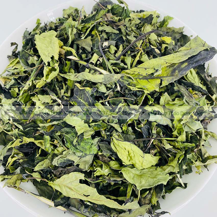 Lá Cẩm Tím Khô 100g - Chợ Thảo Dược Việt